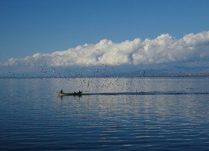 Le lac aux oiseaux